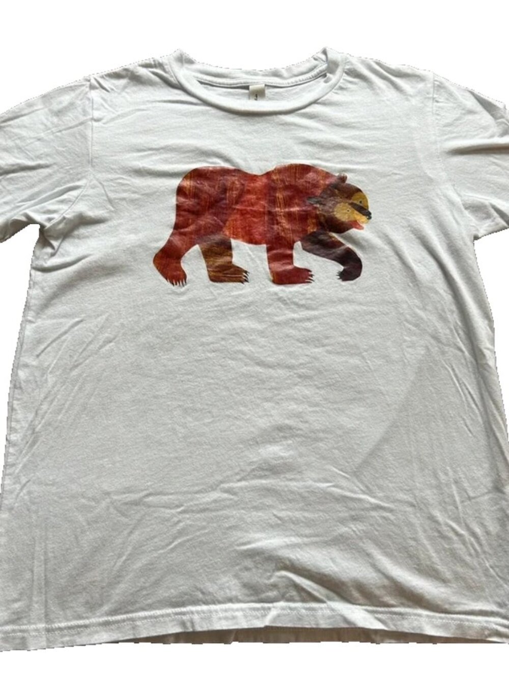 Eric Carle: Brown Bear, What Do You See? Kids White T-Shirt XL 18 - 20